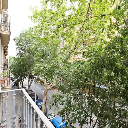 U-nique Urgell * Barcelona